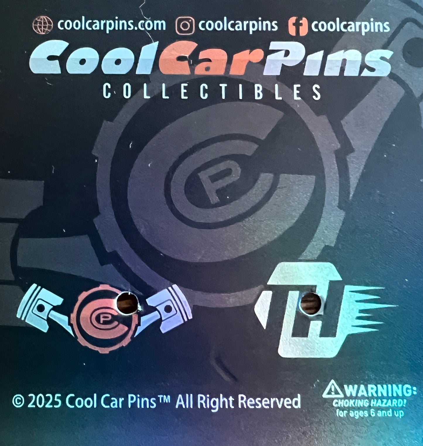 🔥 Limited Edition Chellee Hansen 109 Pin 🔥